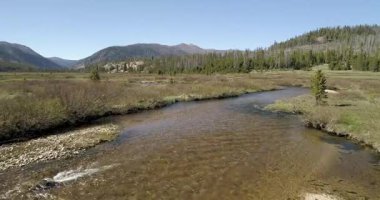 Arka planda yeşil orman olan bir nehir. Su kahverengi ve gökyüzü mavi.