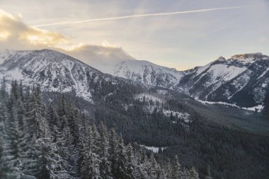 Karla kaplı ağaçlarla kaplı güzel kış manzarası