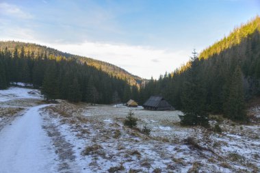 beautiful landscape with snow-covered mountains and trees, the sun rays in the middle of an old forest