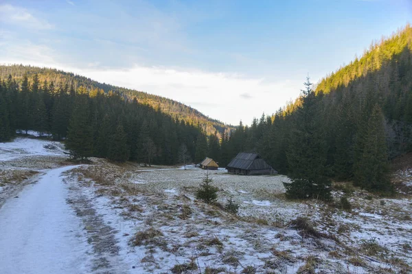 beautiful landscape with snow-covered mountains and trees, the sun rays in the middle of an old forest