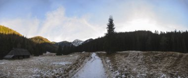 beautiful winter landscape. mountain peaks, trees and snow.