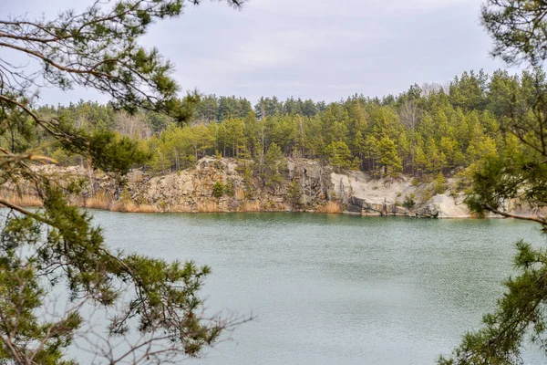 Ormandaki nehrin güzel manzarası