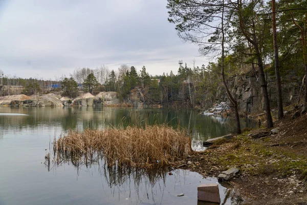 Nehir ve ormanlı güzel bir manzara.