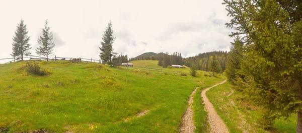 Doğanın güzel manzarası 