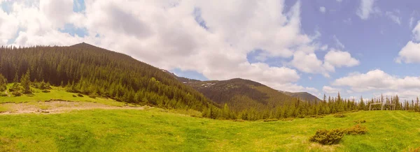 Зеленый Луг Горами — стоковое фото