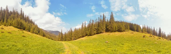 Красивый Пейзаж Горами Зеленой Травой — стоковое фото