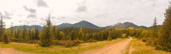 Uma Estrada Montanha Com Pinhal Árvores Verdes Fundo — Fotografia de Stock