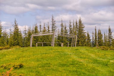 Yeşil çayırdaki ahşap ev. doğa arkaplanı 