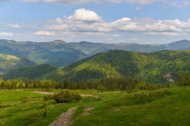Yeşil otlar, mavi gökyüzü ve bulutlarla dolu güzel dağ vadisi manzarası. 