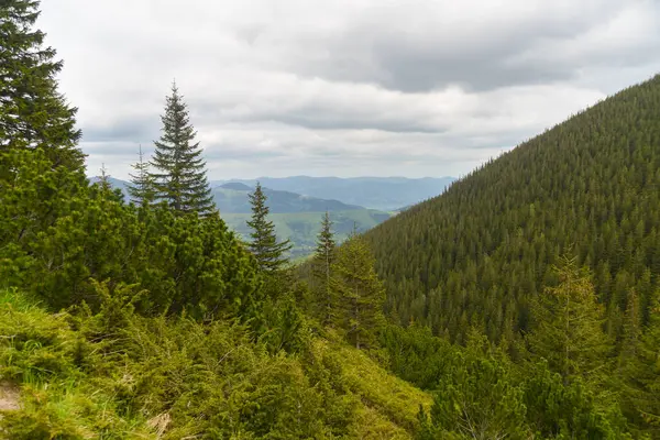 Uma Paisagem Montanhosa Carpaian Ucraniano Uma Pitoresca Cadeia Montanhosa Montanhas — Fotografia de Stock