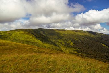 Karpat dağlarında dağları ve mavi gökyüzünü olan güzel bir manzara.