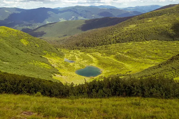 Зеленый Луг Горная Долина — стоковое фото