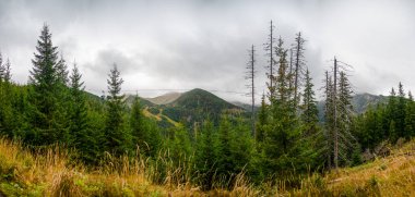 Dağların panoraması Tatra Ulusal Parkı, Zakopane Polonya. Kasprowy Wierch