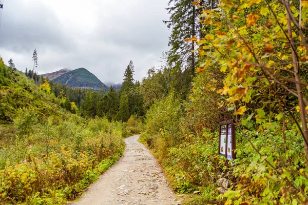 stock image mountain road in autumn