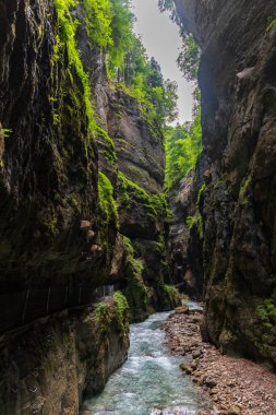Garmisch-Partenkirchen, Bavyera 'daki dar Partnachklamm Boğazı' nın dramatik manzarası. Turkuaz bir dere, yüksek uçurumlar ve yosun kaplı kaya duvarları arasında esiyor..