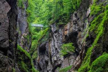 Bavyera 'nın Garmisch-Partenkirchen kentindeki Parnachklamm Vadisi' nin kayalık uçurumları ve yoğun yeşilliğinin üzerinde çelik bir köprü uzanıyor. Dağlık yabanın kalbinde nefes kesici bir geçiş..