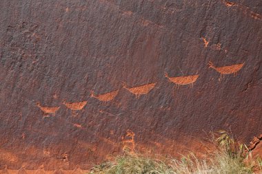 Arizona 'daki Horseshoe Bend' in kuzeyindeki kanyon duvarlarında inen koyunlar..