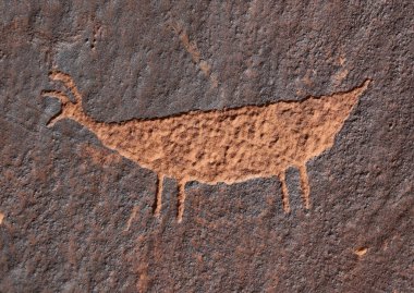 Arizona 'da Horseshoe Bend' in kuzeyinde bulunan kanyon duvarlarında bulunan Koyun Koyunlarından biri..