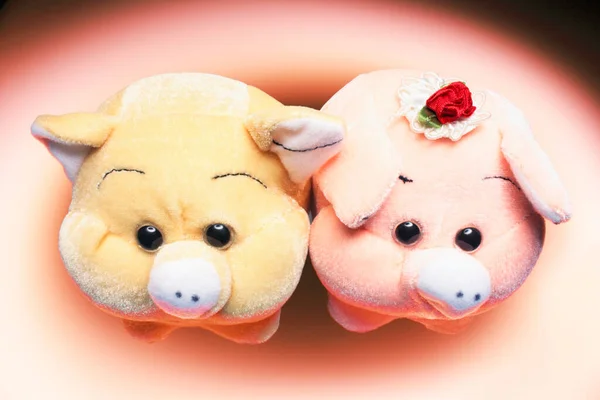 Pig Soft Toys Warm Background — Stock Photo, Image