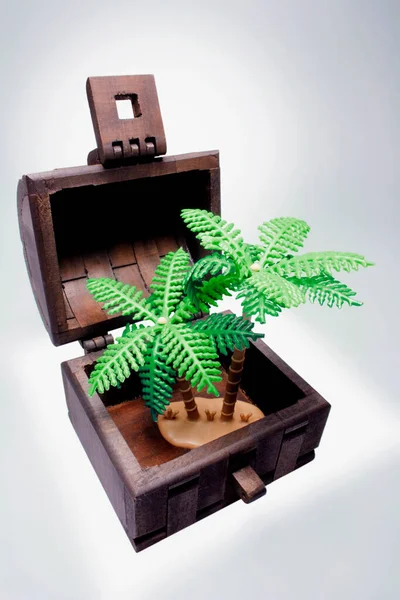 Miniatűr Pálmaágak Fából Készült Ládában — Stock Fotó