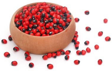 Abrus precatorius or Indian liquorice Seeds over white background