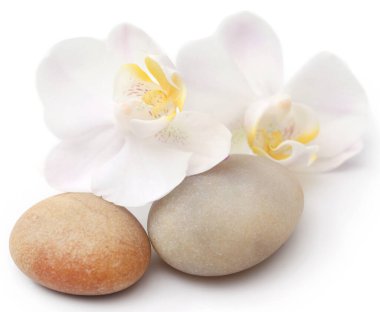 Spa stone with orchid flower over white background