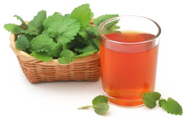 Lemon balm leaves with herbal tea in a glass over white