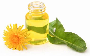 Medicinal dandelion with extract in a bottle over white background
