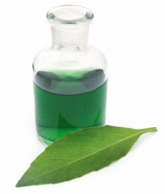 Adhatoda vasica or medicinal Basak leaves  with extract in a glas jar