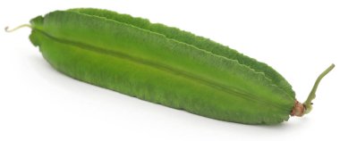 Winged bean fresh and organic over white background