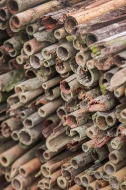 Bamboo pile for various use out door