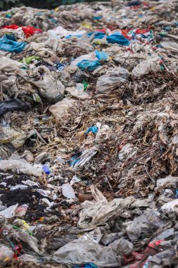 Collected garbage near Dhaka of Bangladesh