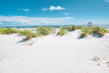 Dueodde, Danimarka, Bornholm 'ün güney sahilindeki beyaz kumlu plaj.