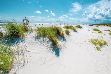 Dueodde, Danimarka, Bornholm 'ün güney sahilindeki beyaz kumlu plaj.