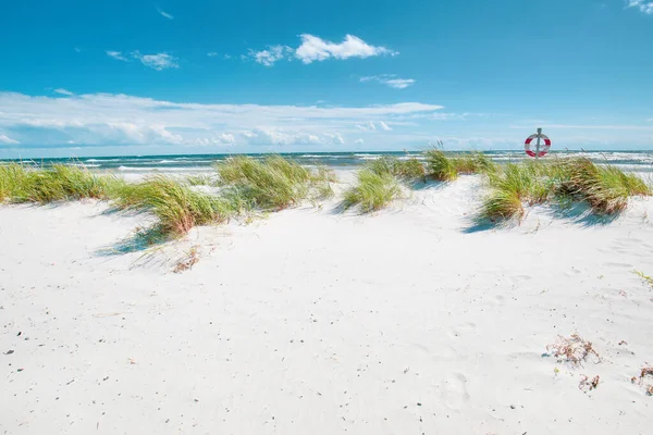 丹麦伯恩霍尔姆南部海岸的白色沙滩 Dueodde 图库照片