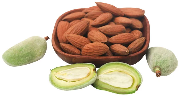 Green Almond Peeled Matured Ones Bowl — Stock Photo, Image