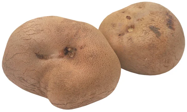 Disoscorea Alata Oder Süßkartoffeln Frisch Und Bio — Stockfoto