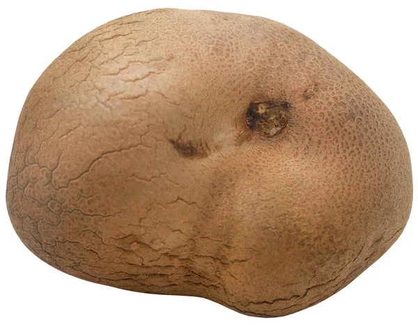Disoscorea Alata Oder Süßkartoffeln Frisch Und Bio — Stockfoto