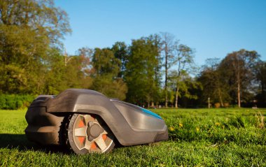 Robot çim biçme makinesi güneşli bir günde iş başında
