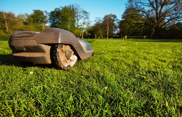 Robotic Lawnmower Action Sunny Day — Stock Photo, Image