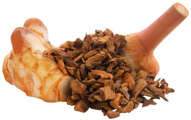 Alpinia galanga ya da kurutulmuş zencefil.