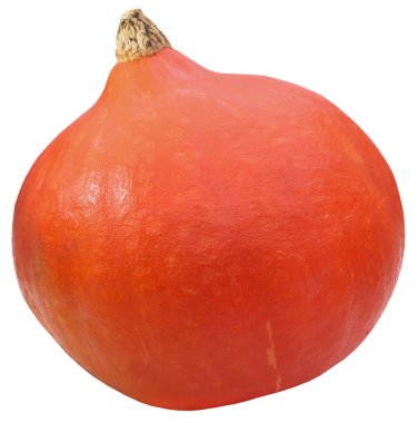 Hokkaido balkabağı taze ve organik