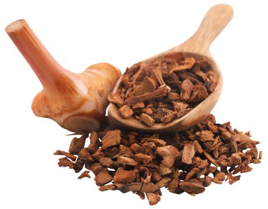 Alpinia galanga veya Aromatik zencefil taze ve kuru