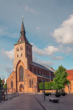 Odense Danimarka 'da öğleden sonra Saint Canutes Katedrali