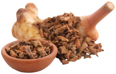 Alpinia galanga ya da Aromatik kızıl yakın çekim ve izole