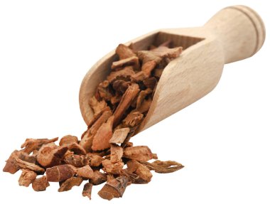 Alpinia galanga ya da Aromatik kızıl yakın çekim