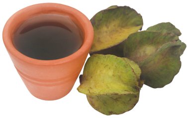 Cam kavanozda özlü Ayurvedic Arjun meyvesi