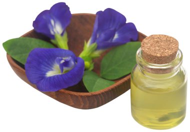 Clitoria ternatea or blue aparajita flower with extract in a bottle