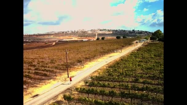 Homem Corre Monte Bracha Samaria Israel — Vídeo de Stock