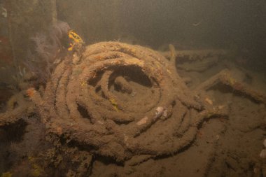 Filipinler Denizi 'ndeki deniz kirliliği metaller ve diğer çöpler